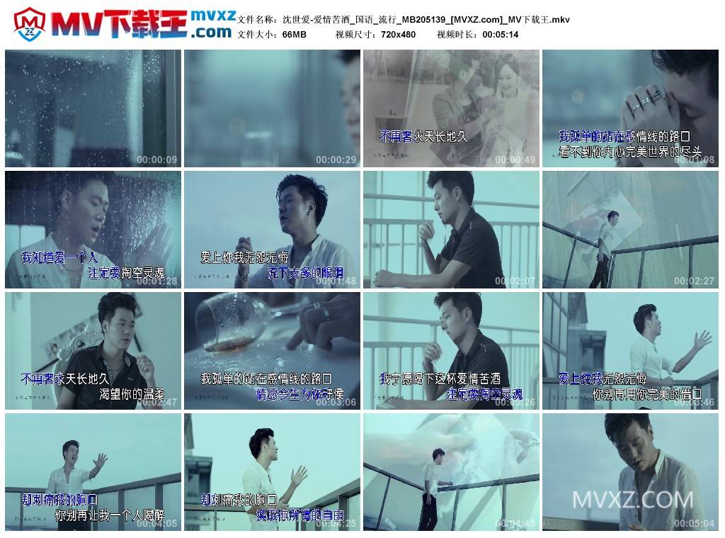 沈世爱-爱情苦酒_国语_流行_MB205139